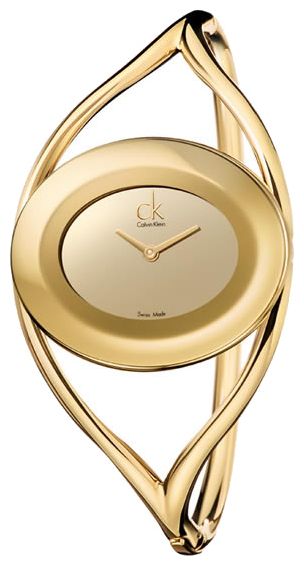 Наручные часы - Calvin Klein K1A238.09