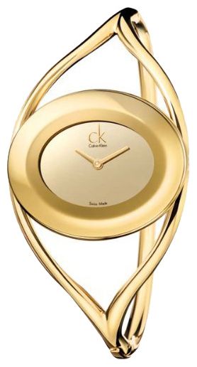 Наручные часы - Calvin Klein K1A239.09