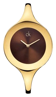 Наручные часы - Calvin Klein K28232.03