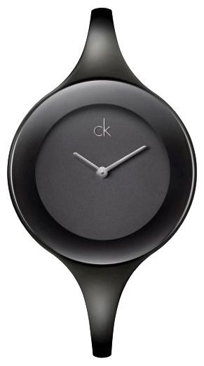 Наручные часы - Calvin Klein K28236.02
