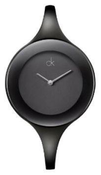 Наручные часы - Calvin Klein K28246.02