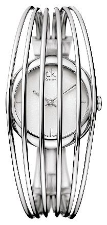 Наручные часы - Calvin Klein K99231.20