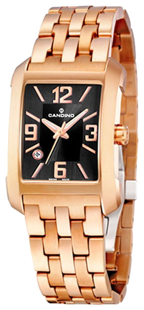 Наручные часы - Candino C4380_2