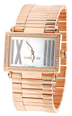Наручные часы - Cerruti 1881 CT100202X05
