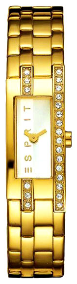 Наручные часы - Esprit ES000DU2001