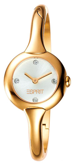 Наручные часы - Esprit ES100242001