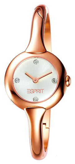 Наручные часы - Esprit ES100242005