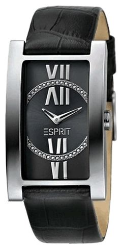 Наручные часы - Esprit ES101372001