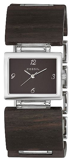 Наручные часы - Fossil ES1540