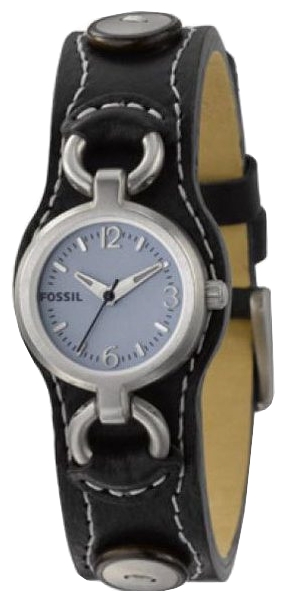 Наручные часы - Fossil JR1015
