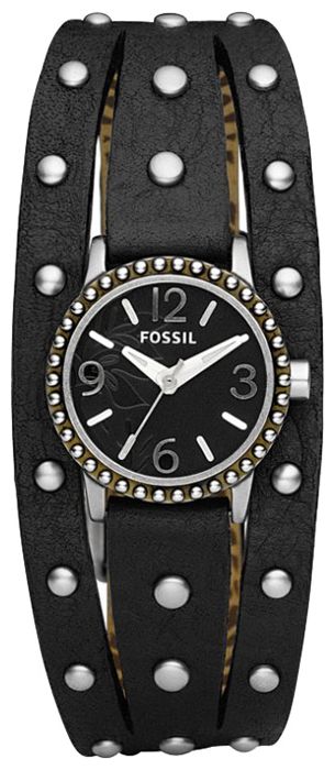 Наручные часы - Fossil JR1176