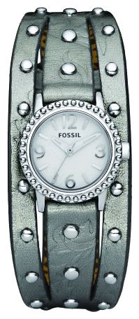 Наручные часы - Fossil JR1179