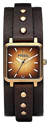 Наручные часы - Fossil JR1180