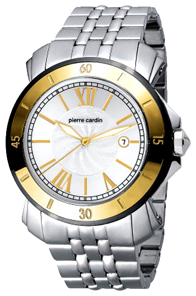 Наручные часы - Pierre Cardin PC100671F01