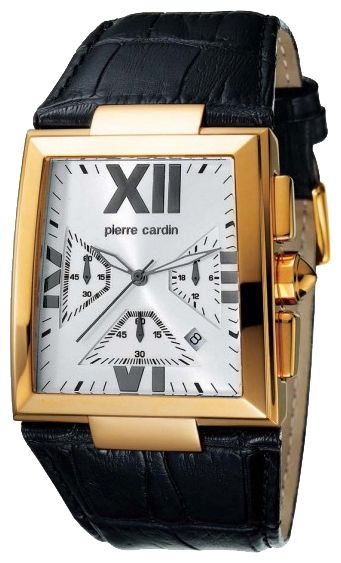 Наручные часы - Pierre Cardin PC101671F10