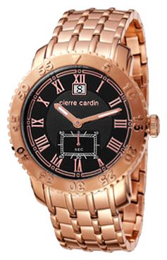 Наручные часы - Pierre Cardin PC102561F04