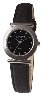 Наручные часы - Skagen 107SSLB