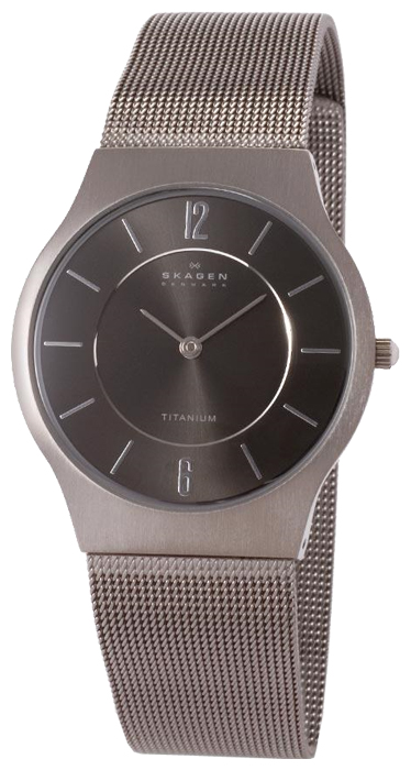 Наручные часы - Skagen 233LTTM