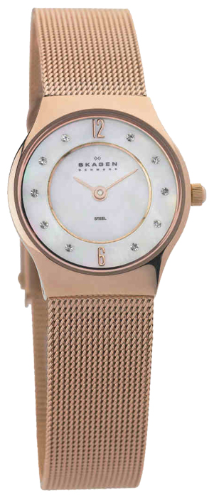 Наручные часы - Skagen 233XSRR