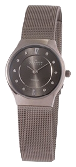 Наручные часы - Skagen 233XSTTM