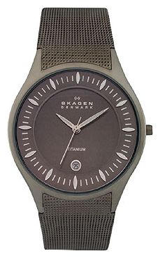 Наручные часы - Skagen 342XLTTM