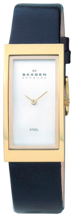 Наручные часы - Skagen 359USLC