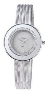 Наручные часы - Skagen 363SSS