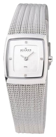 Наручные часы - Skagen 380XSSS1