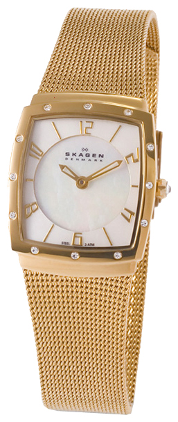 Наручные часы - Skagen 396XSGG