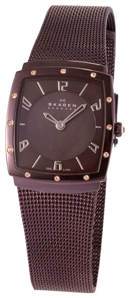 Наручные часы - Skagen 396XSMM