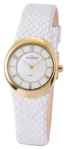 Наручные часы - Skagen 564XSGLW8