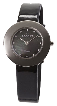 Наручные часы - Skagen 569STTLB