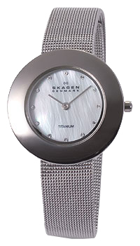 Наручные часы - Skagen 569STW