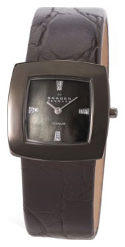 Наручные часы - Skagen 570STTLB4