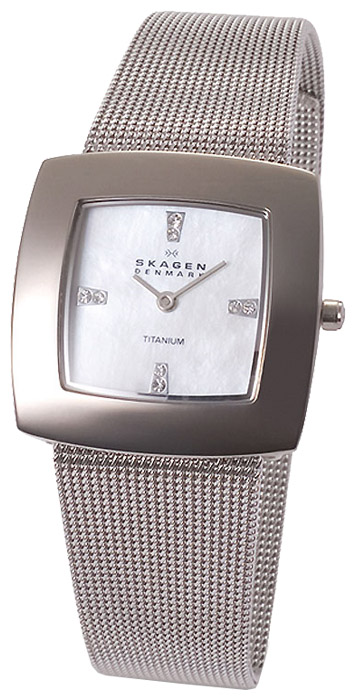 Наручные часы - Skagen 570STW