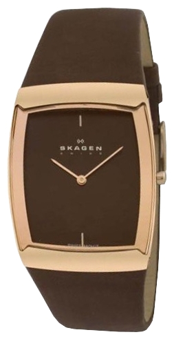 Наручные часы - Skagen 584LRLM