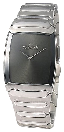 Наручные часы - Skagen 584LSXM