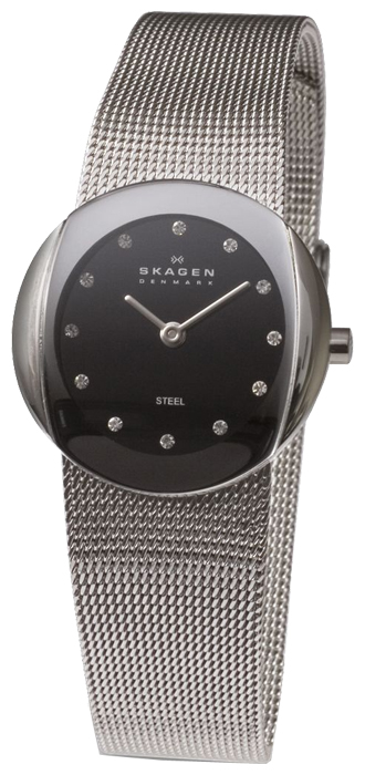 Наручные часы - Skagen 589SSSB