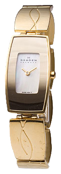 Наручные часы - Skagen 592SGXG