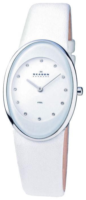 Наручные часы - Skagen 648SSLWW