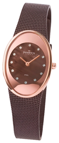 Наручные часы - Skagen 648XSRD