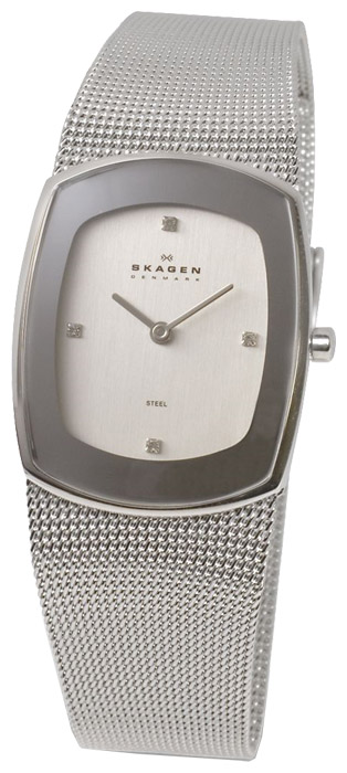 Наручные часы - Skagen 649SSSC