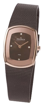 Наручные часы - Skagen 649XSRD