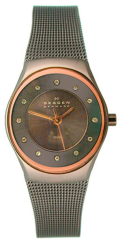 Наручные часы - Skagen 693XSMM