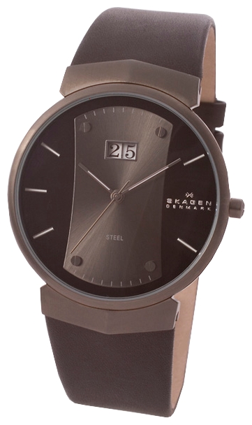 Наручные часы - Skagen 697XLMLMB