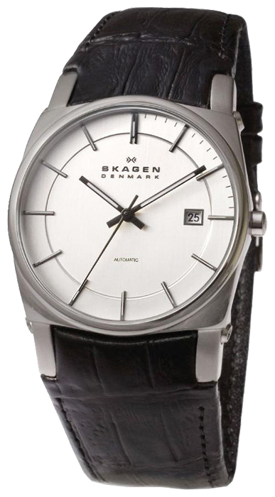 Наручные часы - Skagen 759LSLC