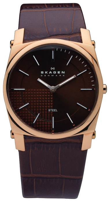 Наручные часы - Skagen 859LRLD