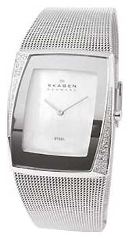 Наручные часы - Skagen 946SSS