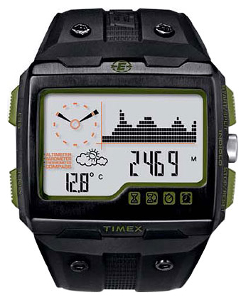 Наручные часы - Timex T49664