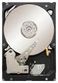 Жесткие диски - Seagate ST31000424SS